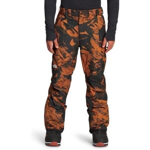 HP 🎉🎉NWT The North Face freedom snowboarding / ski pants Men’s small